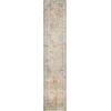 image:imageNourison Home Astra Machine Washable Beige 33 x 5 Area Rug  Easy Clean Non Shedding Bed Room Living Room Dining Room Kitchen 3 x 5Beige Blue