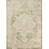 image:imageNourison Home Astra Machine Washable Beige 33 x 5 Area Rug  Easy Clean Non Shedding Bed Room Living Room Dining Room Kitchen 3 x 5Ivory Green