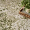 image:imageNourison Home Astra Machine Washable Beige 33 x 5 Area Rug  Easy Clean Non Shedding Bed Room Living Room Dining Room Kitchen 3 x 5Ivory Green