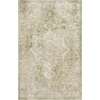 image:imageNourison Home Astra Machine Washable Beige 33 x 5 Area Rug  Easy Clean Non Shedding Bed Room Living Room Dining Room Kitchen 3 x 5Ivory Green