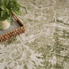 image:imageNourison Home Astra Machine Washable Beige 33 x 5 Area Rug  Easy Clean Non Shedding Bed Room Living Room Dining Room Kitchen 3 x 5Ivory Green