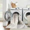 image:imageNourison Home Astra Machine Washable Beige 33 x 5 Area Rug  Easy Clean Non Shedding Bed Room Living Room Dining Room Kitchen 3 x 5Silver Grey