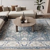 image:imageNourison Home Astra Machine Washable Blue 33 x 5 Area Rug  Easy Clean Non Shedding Bed Room Living Room Dining Room Kitchen 3 x 5Blue