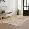 image:imageNourison Home Astra Machine Washable Blue 33 x 5 Area Rug  Easy Clean Non Shedding Bed Room Living Room Dining Room Kitchen 3 x 5Taupe