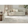 image:imageNourison Home Astra Machine Washable Gold Grey 53 x 7 Area Rug  Easy Clean Non Shedding Bed Room Living Room Dining Room Kitchen 5 x 7Gold Grey