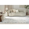 image:imageNourison Home Astra Machine Washable Gold Grey 53 x 7 Area Rug  Easy Clean Non Shedding Bed Room Living Room Dining Room Kitchen 5 x 7Ivory Blue
