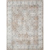 image:imageNourison Home Astra Machine Washable Gold Grey 53 x 7 Area Rug  Easy Clean Non Shedding Bed Room Living Room Dining Room Kitchen 5 x 7Silver Taupe