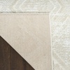image:imageNourison Home Dekor Grey 53 x 7 Area Rug  Easy Clean Non Shedding Bed Room Living Room Dining Room Kitchen 5 x 7Beige