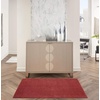image:imageNourison Home Nourison Essentials Ivory Gold 3 x 5 Area Rug  Easy Clean Non Shedding Bed Room Living Room Dining Room Kitchen 3 x 5Brick Red