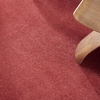 image:imageNourison Home Nourison Essentials Ivory Gold 3 x 5 Area Rug  Easy Clean Non Shedding Bed Room Living Room Dining Room Kitchen 3 x 5Brick Red