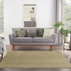 image:imageNourison Home Nourison Essentials Ivory Gold 3 x 5 Area Rug  Easy Clean Non Shedding Bed Room Living Room Dining Room Kitchen 3 x 5Green Gold