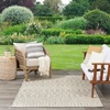 image:imageNourison Home Positano Jute 5 x 7 Area Rug  Easy Clean Non Shedding Bed Room Living Room Dining Room Kitchen 5 x 7Light Grey