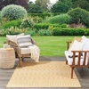 image:imageNourison Home Positano Jute 5 x 7 Area Rug  Easy Clean Non Shedding Bed Room Living Room Dining Room Kitchen 5 x 7Yellow