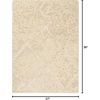 image:imageNourison Home Silk Elements Natural 23 x 3 Area Rug  Easy Clean Non Shedding Bed Room Living Room Dining Room Kitchen 2 x 3Natural