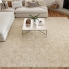 image:imageNourison Home Washable Charm Beige Ivory 3 x 5 Area Rug  Easy Clean Non Shedding Bed Room Living Room Dining Room Kitchen 3 x 5Ivory