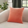 image:imageMina Victory Sofia Indoor Coral 20 x 20 Throw PillowCoral