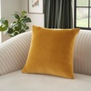 image:imageMina Victory Sofia Indoor Coral 20 x 20 Throw PillowYellow