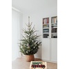 image:imageNourison Buffalo Plaid Truck Rug Retro Holiday Design for Christmas Decorating Seasonal Print Area Mat 18 x 30 Inches Rectangle NonSkid NonSlip Backing