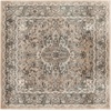 image:imageNourison Concerto IvoryGrey 3 x 5 Area Rug Transitional Bed Room Living Room Dining Room Kitchen Easy Cleaning Non Shedding 3x5Beige Grey