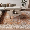 image:imageNourison Home Astra Machine Washable Blue 33 x 5 Area Rug  Easy Clean Non Shedding Bed Room Living Room Dining Room Kitchen 3 x 5Rust Ivory