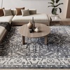 image:imageNourison Home Astra Machine Washable Blue 33 x 5 Area Rug  Easy Clean Non Shedding Bed Room Living Room Dining Room Kitchen 3 x 5Slate