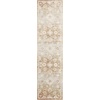 image:imageNourison Home Astra Machine Washable Ivory Gold 33 x 5 Area Rug  Easy Clean Non Shedding Bed Room Living Room Dining Room Kitchen 3 x 5Copper
