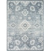image:imageNourison Home Astra Machine Washable Ivory Gold 33 x 5 Area Rug  Easy Clean Non Shedding Bed Room Living Room Dining Room Kitchen 3 x 5Denim
