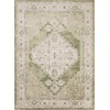 image:imageNourison Home Astra Machine Washable Rust Multicolor 33 x 5 Area Rug  Easy Clean Non Shedding Bed Room Living Room Dining Room Kitchen 3 x 5Ivory Green