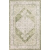 image:imageNourison Home Astra Machine Washable Rust Multicolor 33 x 5 Area Rug  Easy Clean Non Shedding Bed Room Living Room Dining Room Kitchen 3 x 5Ivory Green