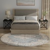 image:imageNourison Home Astra Machine Washable Rust Multicolor 33 x 5 Area Rug  Easy Clean Non Shedding Bed Room Living Room Dining Room Kitchen 3 x 5Silver Blue