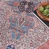 image:imageNourison Home Brilliance Machine Washable Traditional Vintage IvoryBrick 53 x 73 Area Rug EasyCleaning Non Shedding Bed Room Living Room Dining Room Kitchen 5x7IvoryBrick