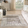 image:imageNourison Home Dekor Grey Navy 53 x 7 Area Rug  Easy Clean Non Shedding Bed Room Living Room Dining Room Kitchen 5 x 7Ivory Brown