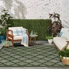 image:imageNourison Home Easy Care Green 10 x 14 Area Rug  Easy Clean Non Shedding Bed Room Living Room Dining Room Kitchen 10 x 14