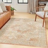 image:imageNourison Home Essentials IndoorOutdoor Distressed Beige Rust 6 x 9 Area Rug Non Shedding Easy Care Pet FriendlyBeige Rust