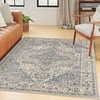 image:imageNourison Home Essentials IndoorOutdoor Distressed Beige Rust 6 x 9 Area Rug Non Shedding Easy Care Pet FriendlyBlue