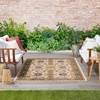 image:imageNourison Home Essentials Outdoor Ivory Blue 5 x 7 Area Rug Easy Clean Non Shedding Bed Room Living Room Dining Room Deck Backyard Patio 5x7Ivory Gold