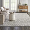 image:imageNourison Home Jubilant Grey 53 x 73 Area Rug  Easy Clean Non Shedding Bed Room Living Room Dining Room Kitchen 5 x 7Grey
