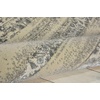 image:imageNourison Home Luminance Vintage Bone 53 x 75 Area Rug Easy Cleaning Non Shedding Bed Room Living Room Dining Room Kitchen 5x7