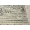 image:imageNourison Home Luminance Vintage Bone 53 x 75 Area Rug Easy Cleaning Non Shedding Bed Room Living Room Dining Room Kitchen 5x7
