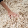 image:imageNourison Home Luxurious Shag Ivory Dark Beige 53 x 73 Area Rug  Easy Clean Non Shedding Bed Room Living Room Dining Room Kitchen 5 x 7Ivory Dark Beige