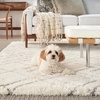 image:imageNourison Home Luxurious Shag Modern amp Contemporary Ivory 4 x 6 Area Rug Easy Clean Non Shedding Bed Room Living Room Dining Room Kitchen 4x6Ivory