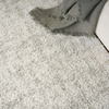 image:imageNourison Home Modern Shag Grey Ivory 53 x 7 Area Rug  Easy Clean Non Shedding Bed Room Living Room Dining Room Kitchen 5 x 7Ivory Grey