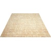 image:imageNourison Home Nepal Traditional Sand 53 x 75 Area Rug Easy Cleaning Non Shedding Bed Room Living Room Dining Room Kitchen 5x7Sand