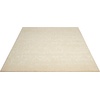 image:imageNourison Home Nepal Vintage Fawn 53 x 75 Area Rug Easy Cleaning Non Shedding Bed Room Living Room Dining Room Kitchen 5x7Bone