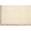 image:imageNourison Home Nepal Vintage Fawn 53 x 75 Area Rug Easy Cleaning Non Shedding Bed Room Living Room Dining Room Kitchen 5x7Bone