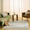 image:imageNourison Home Nordic Ivory Grey 5 x 7 Area Rug  Easy Clean Non Shedding Bed Room Living Room Dining Room Kitchen 5 x 7Ivory Grey