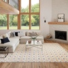 image:imageNourison Home Nordic Rust Multicolor 5 x 7 Area Rug  Easy Clean Non Shedding Bed Room Living Room Dining Room Kitchen 5 x 7Rust Multicolor