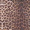 image:imageNourison Home Nourison Washables Leopard 6 x 9 Area Rug  Easy Clean Non Shedding Bed Room Living Room Dining Room Kitchen 6 x 9Leopard