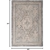 image:imageNourison Home Nyle Ivory Grey Blue 26 x 46 Area Rug  Easy Clean Non Shedding Bed Room Living Room Dining Room Kitchen 3 x 5Ivory Charcoal