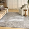 image:imageNourison Home Outlines Charcoal Ivory 6 x 9 Area Rug  Easy Cleaning Non Shedding Bed Room Living Room Dining Room Kitchen 6 x 9Charcoal Ivory